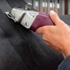 Aesculap 1 Akku »Econom CL Equipe GT 814« Schermaschine Pferd 17 Aesculap 1 Akku »Econom CL Equipe GT 814« Schermaschine Pferd -Zucht-Tierbedarf Store aesculap econom cl equipe gt 814 1 akku schermaschine pferd8