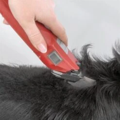 Aesculap »Favorita Speed GT 114« Schermaschine 11 Aesculap »Favorita Speed GT 114« Schermaschine -Zucht-Tierbedarf Store aesculap favorita speed gt 114 profi schermaschine5