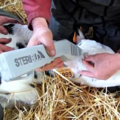Akku Enthorner »Steribud« Für Kälber Von 3-7 Wochen -Zucht-Tierbedarf Store akku enthorner steribud fuer kaelber von 3 7 wochen3
