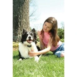 Anti Bell Halsband »Classic« PetSafe Elektrohalsband · Ab 3,6kg -Zucht-Tierbedarf Store anti bell halsband petsafe elektrohalsband ab 36kg3