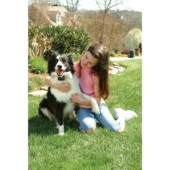 Anti Bell Halsband »Classic« PetSafe Elektrohalsband · Ab 3,6kg -Zucht-Tierbedarf Store anti bell halsband petsafe elektrohalsband ab 36kg4