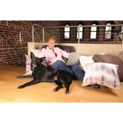 PetSafe Anti Bell Halsband »Zitronella« Bellkontrolle · Ab 2,5kg -Zucht-Tierbedarf Store anti bell halsband zitronella bellkontrolle ab 25kg3