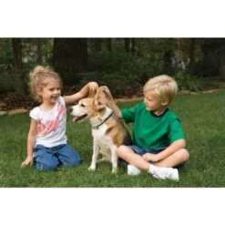 Antibell Halsband »Deluxe« PetSafe Elektrohalsband · Bis 18kg -Zucht-Tierbedarf Store antibell halsband deluxe petsafe elektrohalsband bis 18kg3