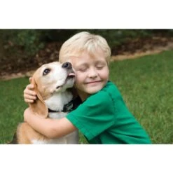 Antibell Halsband »Deluxe« PetSafe Elektrohalsband · Bis 18kg -Zucht-Tierbedarf Store antibell halsband deluxe petsafe elektrohalsband bis 18kg4