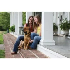 PetSafe Antibellhalsbänder »Deluxe« PS Erziehungshalsband · Akku, Ab 18kg 7 PetSafe Antibellhalsbänder »Deluxe« PS Erziehungshalsband · Akku, Ab 18kg -Zucht-Tierbedarf Store antibellhalsbaender deluxe ps erziehungshalsband akku ab 18kg3