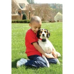 Antibellhalsband »Basic« PetSafe Stromhalsband · Ab 3,6kg 7 Antibellhalsband »Basic« PetSafe Stromhalsband · Ab 3,6kg -Zucht-Tierbedarf Store antibellhalsband basic petsafe stromhalsband ab 36kg3