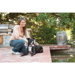 Antibellhalsband »Deluxe« PetSafe Erziehungshalsband · Ab 18kg -Zucht-Tierbedarf Store antibellhalsband deluxe petsafe erziehungshalsband ab 18kg3