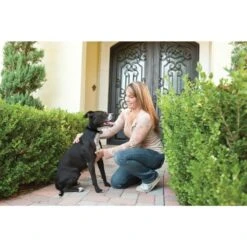 Antibellhalsband »Deluxe« PetSafe Erziehungshalsband · Ab 18kg -Zucht-Tierbedarf Store antibellhalsband deluxe petsafe erziehungshalsband ab 18kg4