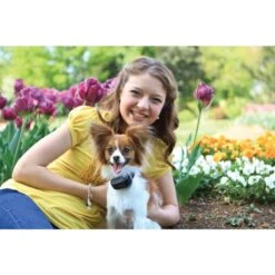 Antibellhalsband »Classic« PetSafe Vibrationshalsband -Zucht-Tierbedarf Store antibellhalsband petsafe vibrationshalsband5