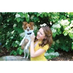 Antibellhalsband »Classic« PetSafe Vibrationshalsband -Zucht-Tierbedarf Store antibellhalsband petsafe vibrationshalsband6