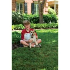 PetSafe Antibellhalsband »Small Dog« Antibellhalsband · Bis 26kg -Zucht-Tierbedarf Store antibellhalsband small dog antibellhalsband bis 26kg4