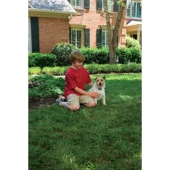 PetSafe Antibellhalsband »Small Dog« Antibellhalsband · Bis 26kg -Zucht-Tierbedarf Store antibellhalsband small dog antibellhalsband bis 26kg5