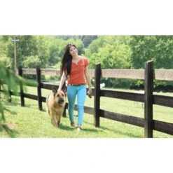 Fern Trainer »Basic« PetSafe Hundeerziehung · 70m, Ab 3,6kg -Zucht-Tierbedarf Store fern trainer basic petsafe hundeerziehung 70m ab 36kg3