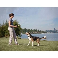 Fern Trainer »Plus« Zusatz Erziehungs Halsband PetSafe · 350m 7 Fern Trainer »Plus« Zusatz Erziehungs Halsband PetSafe · 350m -Zucht-Tierbedarf Store fern trainer plus zusatz erziehungs halsband petsafe 350m3