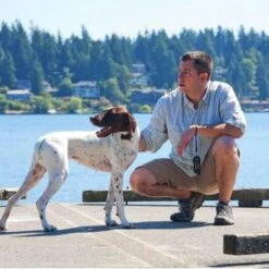 Ferntrainer »Basic« PetSafe Hundeerziehung · 100m, Ab 18kg 9 Ferntrainer »Basic« PetSafe Hundeerziehung · 100m, Ab 18kg -Zucht-Tierbedarf Store ferntrainer basic petsafe hundeerziehung 100m ab 36kg4