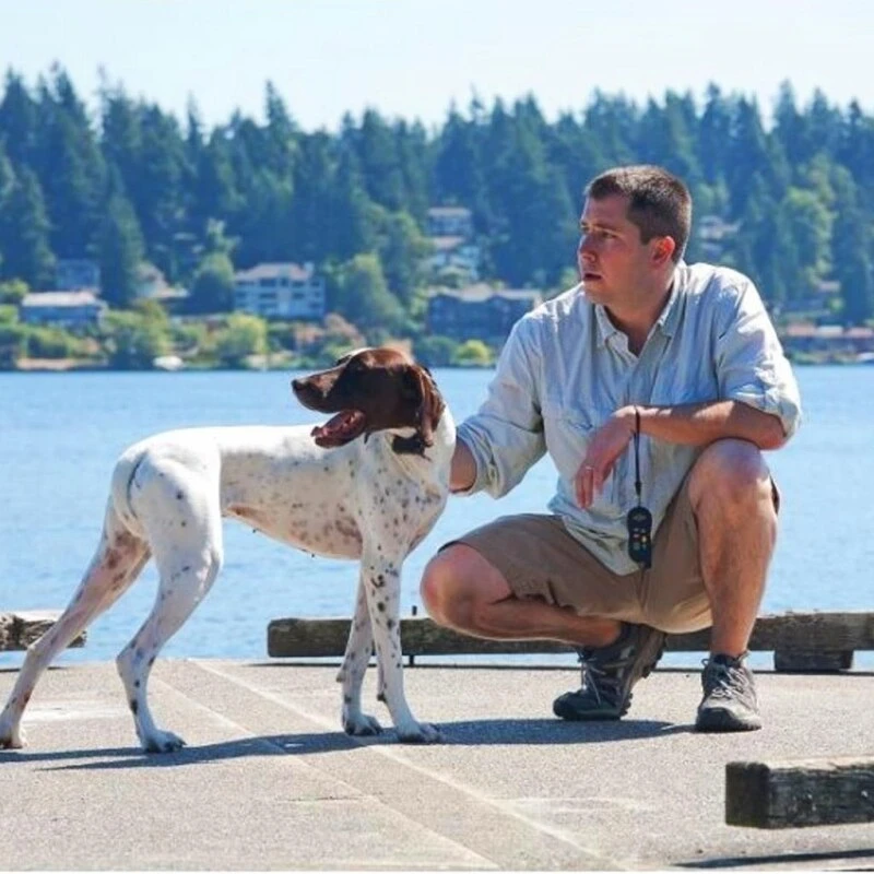 Ferntrainer »Basic« PetSafe Hundeerziehung · 100m, Ab 18kg 6 Ferntrainer »Basic« PetSafe Hundeerziehung · 100m, Ab 18kg – Bild 4