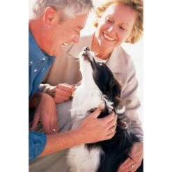 Ferntrainer »Basic« PetSafe Ultraschall Hundeerziehung · 9m -Zucht-Tierbedarf Store ferntrainer basic petsafe ultraschall hundeerziehung 9m4