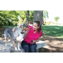 Ferntrainer »Basic« PetSafe Vibrationshalsband · 100m -Zucht-Tierbedarf Store ferntrainer basic petsafe vibrationshalsband 100m4