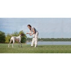 Ferntrainer »Deluxe« Zusatz Erziehungshalsbänder PetSafe · 900m 7 Ferntrainer »Deluxe« Zusatz Erziehungshalsbänder PetSafe · 900m -Zucht-Tierbedarf Store ferntrainer deluxe zusatz erziehungshalsbaender petsafe 900m3