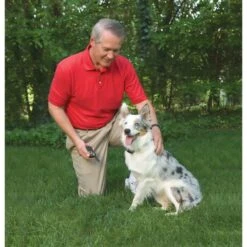 PetSafe Ferntrainer »Classic« PS Erziehungshalsbänder · 250m, Ab 3,6kg 9 PetSafe Ferntrainer »Classic« PS Erziehungshalsbänder · 250m, Ab 3,6kg -Zucht-Tierbedarf Store ferntrainer ps erziehungshalsbaender 250m ab 36kg4