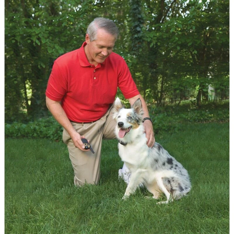 PetSafe Ferntrainer »Classic« PS Erziehungshalsbänder · 250m, Ab 3,6kg 6 PetSafe Ferntrainer »Classic« PS Erziehungshalsbänder · 250m, Ab 3,6kg – Bild 4