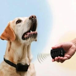 Ferntrainer »Spray Commander« PetSafe Sprayhalsband · 85m -Zucht-Tierbedarf Store ferntrainer spray commander petsafe sprayhalsband 85m4