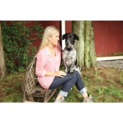 Ferntrainer »Spray Commander« PetSafe Sprayhalsband · 85m -Zucht-Tierbedarf Store ferntrainer spray commander petsafe sprayhalsband 85m5