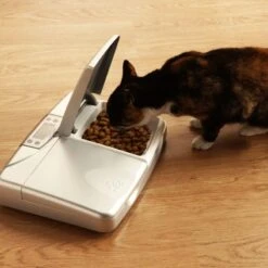 PetSafe Futterautomat Katze »PetPod« 24/7 Programmierbar · 2x200g 7 PetSafe Futterautomat Katze »PetPod« 24/7 Programmierbar · 2x200g -Zucht-Tierbedarf Store futterautomat katze petpod 24 7 programmierbar 2x200g3