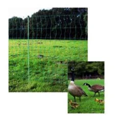 Geflügelnetz »Euronetz« Elektrozaun · 50m 2 Spitzen, 112cm -Zucht-Tierbedarf Store gefluegelnetz euronetz elektrozaun 50m 2 spitzen 112cm7