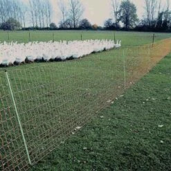 Geflügelzaun »Euronetz« Laufenten Zaun · 25m 2 Spitzen, 112cm -Zucht-Tierbedarf Store gefluegelzaun euronetz laufenten zaun 25m 2 spitze 112cm7