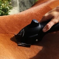 Heiniger »Progress« Schermaschine Pferd -Zucht-Tierbedarf Store heiniger progress schermaschine pferd7