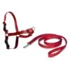 PetSafe Hunde Geschirr »Easy Walk« Inkl. Hundeleine · 86-117cm, Rot 1 PetSafe Hunde Geschirr »Easy Walk« Inkl. Hundeleine · 86-117cm, Rot -Zucht-Tierbedarf Store hunde geschirr easy walk inkl hundeleine 86 117cm