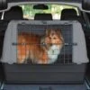 Hundebox Katzentransportbox »PetSafe / Trixie L« 100x60x65cm -Zucht-Tierbedarf Store hundebox katzentransportbox trixie petsafe 100x60x65cm
