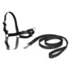 PetSafe Hundegeschirr »Easy Walk« Inkl. Hundeleine · 86-117cm, Schwarz