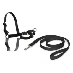 PetSafe Hundegeschirr »Easy Walk« Inkl. Hundeleine · 86-117cm, Schwarz