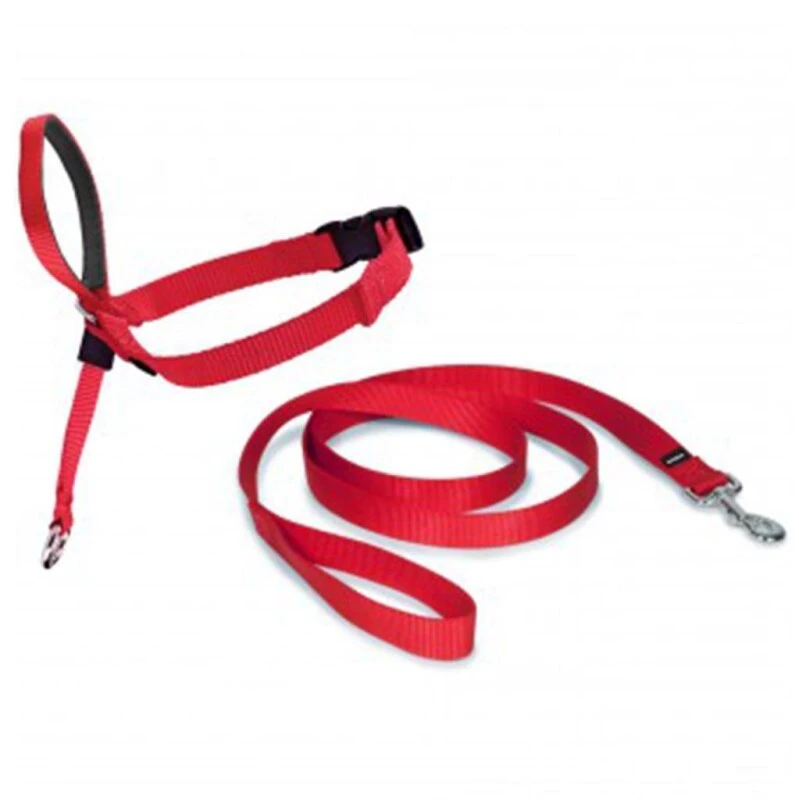 PetSafe Hundeleine »Easy Walk« Für Schäferhund, Labrador · 27-59kg, Rot 3 PetSafe Hundeleine »Easy Walk« Für Schäferhund, Labrador · 27-59kg, Rot