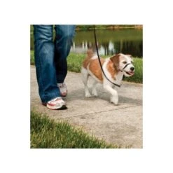 PetSafe Hundeleinen »Easy Walk« Für Beagle, Sheltie · Max 11kg, Schwarz -Zucht-Tierbedarf Store hundeleinen easy walk fuer beagle sheltie max 11kg2