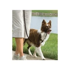 PetSafe Hundeleinen »Easy Walk« Für Pointer, Spaniel · 11-27kg, Schwarz -Zucht-Tierbedarf Store hundeleinen easy walk fuer pointer spaniel 11 27kg2