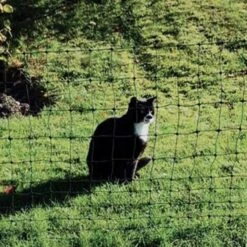 Katzengehege Katzennetz »Euronetz« 25m 1 Spitze, 75cm -Zucht-Tierbedarf Store katzengehege katzennetz euronetz 25m 1 spitze 75cm6