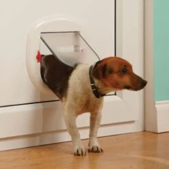 PetSafe Katzenklappe »Staywell« Haustiertür · Ø263mm, Weiß -Zucht-Tierbedarf Store katzenklappe staywell haustiertuer durchmesser 263mm3