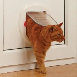 PetSafe Katzenklappe »Staywell« Haustiertür · Ø263mm, Weiß -Zucht-Tierbedarf Store katzenklappe staywell haustiertuer durchmesser 263mm4