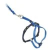 PetSafe Katzenleine »Easy Walk« Katzengeschirr · 23-28cm, Blau -Zucht-Tierbedarf Store katzenleine easy walk katzengeschirr 23 28cm