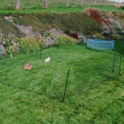 Kleintiergehege »Premium« Kleintiernetz · 12m 1 Spitze, 65cm -Zucht-Tierbedarf Store kleintiergehege premium kleintiernetz 12m 1 spitze 65cm6