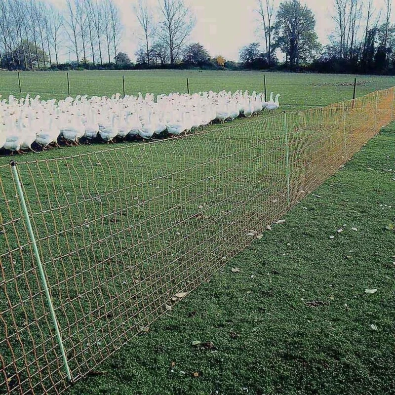 Laufenten Zaun »Euronetz« Elektrozaun · 50m 1 Spitze, 112cm 9 Laufenten Zaun »Euronetz« Elektrozaun · 50m 1 Spitze, 112cm – Bild 7