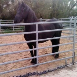 100x Paddockplatten »Rasenwaben« Zur Befestigung · 50x40cm -Zucht-Tierbedarf Store paddockplatten rasenwaben 100 stueck palette 50x40cm9