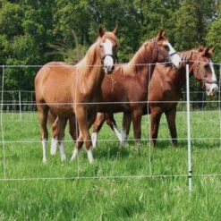 Pferdenetz »Euronetz« Weidenetze · 30m 2 Spitzen, 120cm -Zucht-Tierbedarf Store pferdenetz euronetz weidenetze 30m 2 spitzen 120cm4