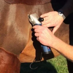 Heiniger »XPLORER« 2 Akku Schermaschine Für Pferde -Zucht-Tierbedarf Store schermaschine pferd heiniger xplorer 2 akku7