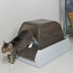 PetSafe 3er Pack Ersatz Streu Selbstreinigende Katzentoilette »Deluxe / Classic« -Zucht-Tierbedarf Store selbstreinigende katzentoilette petsafe 3 stueck ersatzstreu schalen5