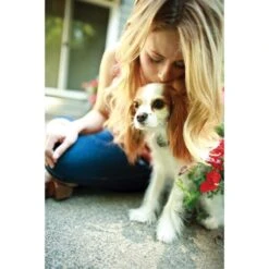 PetSafe Unsichtbarer Hundezaun »Deluxe« Erweiterbar Auf 10ha · Ab 3,6kg -Zucht-Tierbedarf Store unsichtbarer hundezaun deluxe erweiterbar auf 10ha ab 36kg3