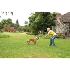 PetSafe Unsichtbarer Hundezaun »Drahtlos Deluxe« 32m Radius · Ab 2,3kg -Zucht-Tierbedarf Store unsichtbarer hundezaun drahtlos deluxe 32m radius ab 23kg8